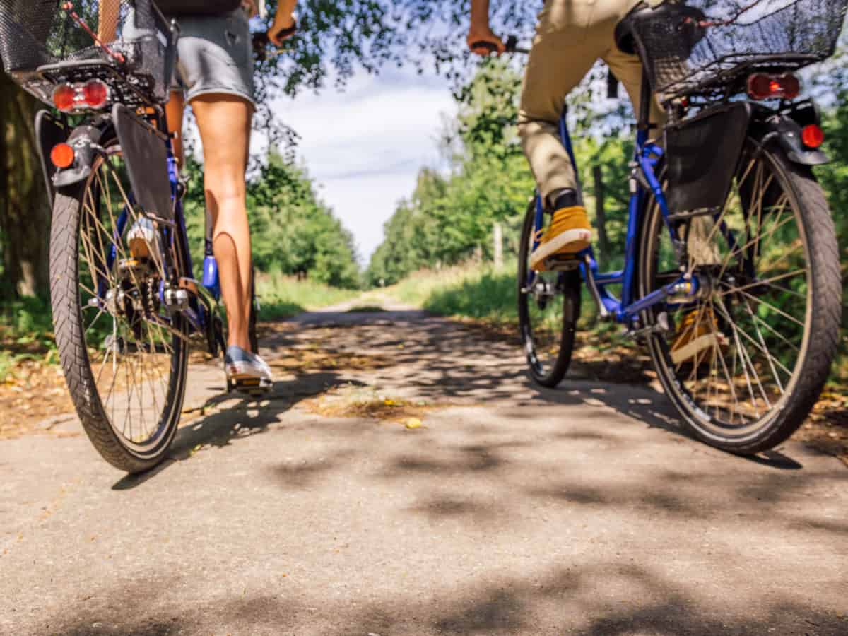 Radfahrer Natur Räder Waldweg